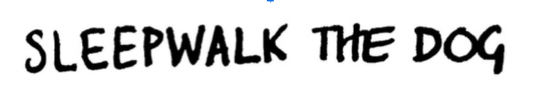 Sleepwalk The
                                Dog